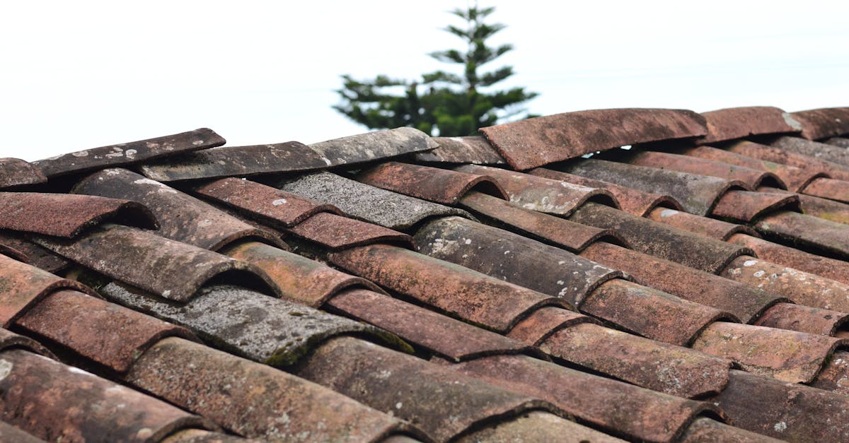 Clay Tile Roofing: Aesthetics and Design Options
