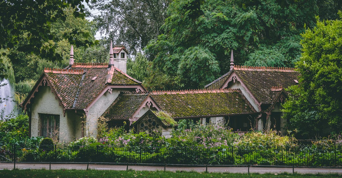 DIY vs Professional Tile and Slate Roof Repairs: Pros and Cons