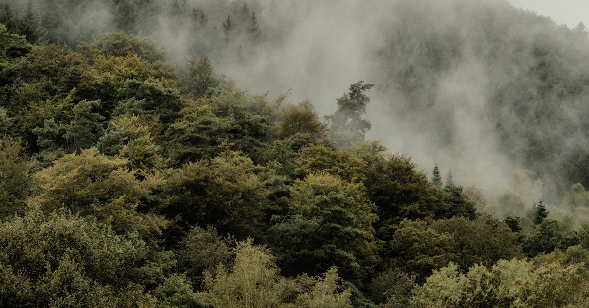 Environmental Impact of Asphalt Roofing in the UK