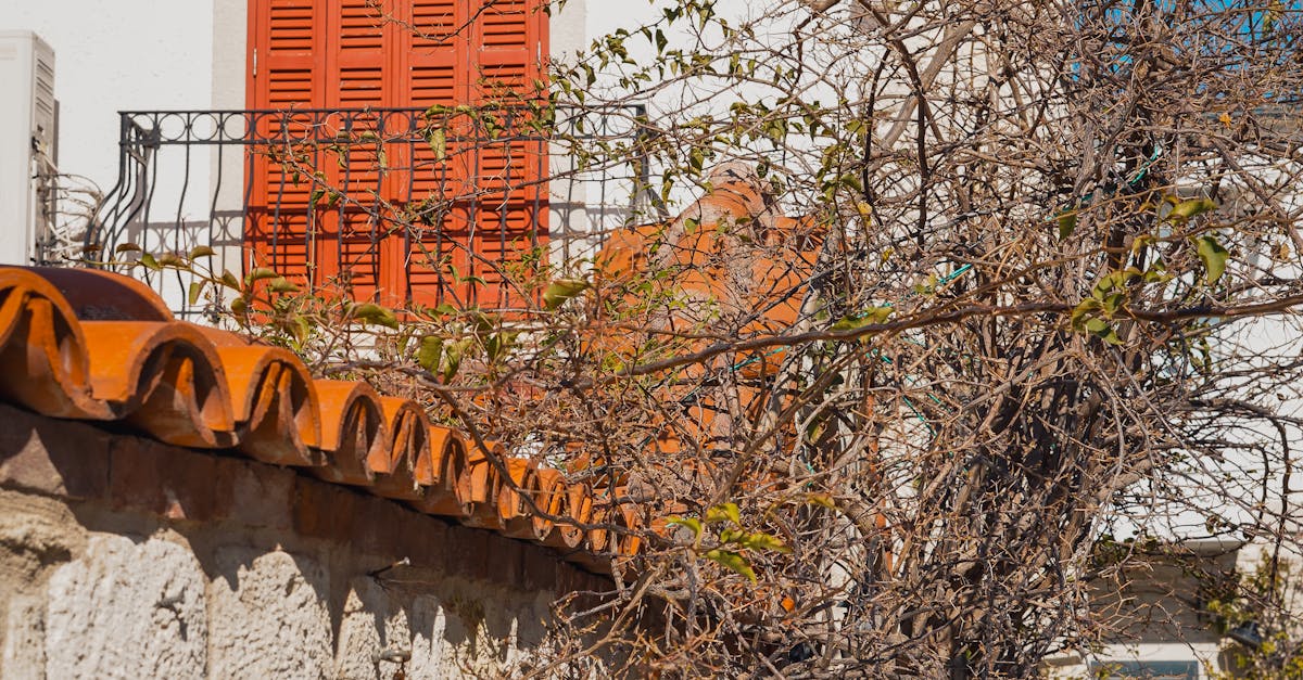 Environmental Impact of Clay Tile Roofing